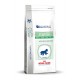 Royal Canin Pediatric Starter Small Dog (under 10 kg) - Kibbles