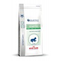 Royal Canin Pediatric Starter Small Dog (under 10 kg) - Kibbles