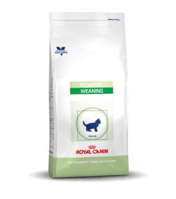 Royal Canin Pediatric Weaning kittens - Kibbles