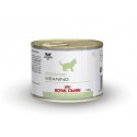Royal Canin Pediatric Weaning kitten - Canned food