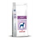 Royal Canin Giant Adult (over 45 kg) dog food - Kibbles