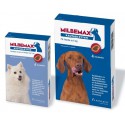 Milbemax chewable dewormer tablets for dogs and puppies