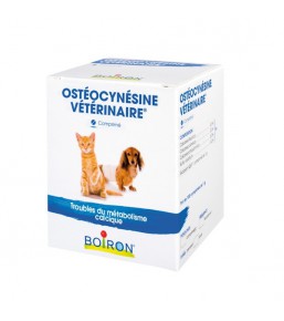 Osteocynesine Veterinary - Homeopathic remedy for cats and dogs