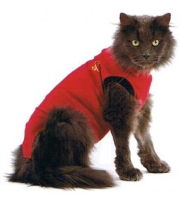 Medical Pet Shirt – Protective vest for cats