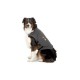 Thundershirt - Anti-anxiety t-shirt for dogs