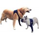 MPS Taz - Protective sleeve for dogs