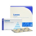 Locox – Joint supplement for dogs