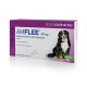 Amflee Spot-on for dogs 