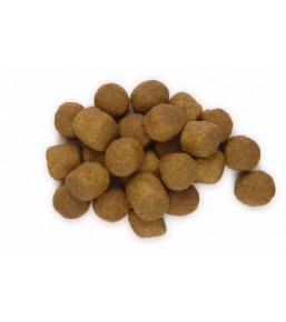 Science Plan Canine Adult Advanced Fitness Large Breed