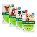 Advantage Dog - Anti-flea pipettes