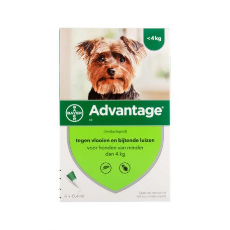 Advantage Dog - Anti-flea pipettes
