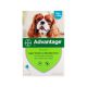 Advantage Dog - Anti-flea pipettes