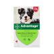 Advantage Dog - Anti-flea pipettes