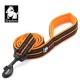 True Love reflective leash