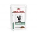 Royal Canin Diabetic cat food - Wet food pouches