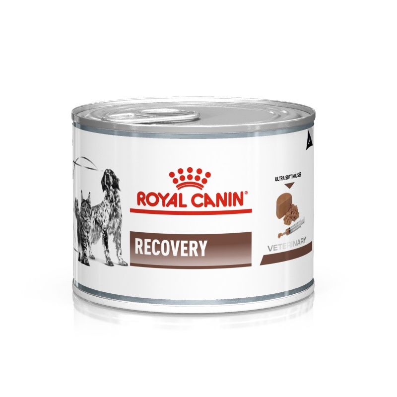 royal canin recovery pack