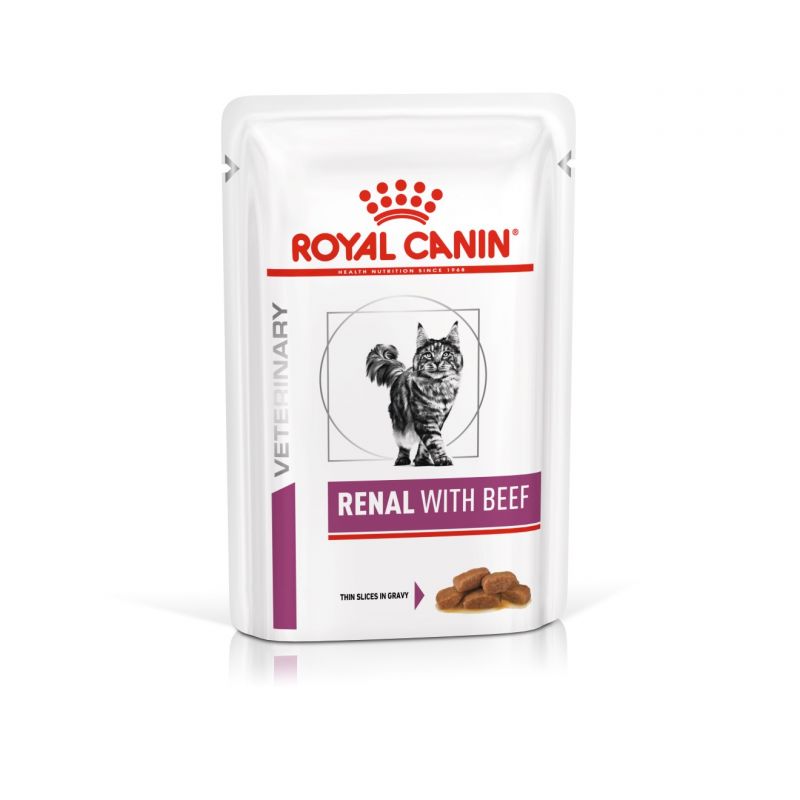 royal canin renal s