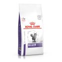 Royal Canin Dental cat food - Kibbles