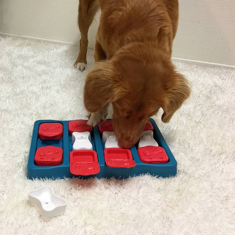Nina ottosson dog puzzles top
