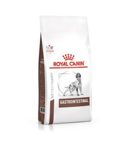 Royal Canin Gastrointestinal dog food - kibbles