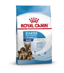 Royal Canin Starter Mother & Babydog Maxi (25 to 45 kg) - Kibbles