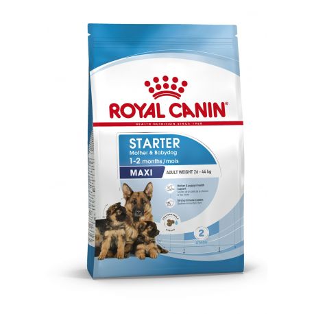 Royal Canin Starter Mother & Babydog Maxi (25 to 45 kg) - Kibbles