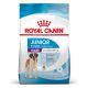 Royal Canin Giant Junior (over 45 kg) dog food - Kibbles