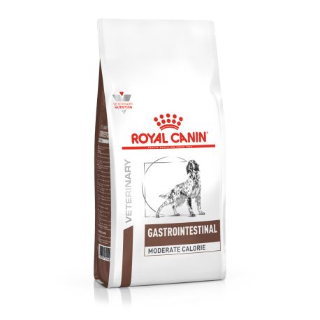Royal Canin Gastrointestinal dog food - kibbles