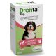 Drontal - Puppy dewormer