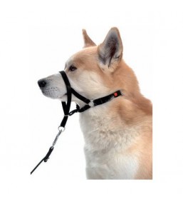 Halti - Headcollar for dogs