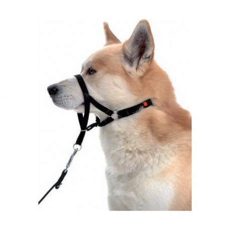 Halti - no pull headcollar for dogs