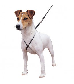 Lupi - No-pull dog harness