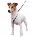 Lupi - No-pull dog harness
