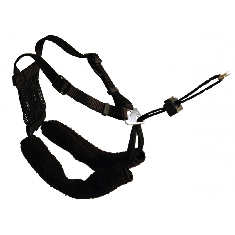 Sporn Please Com - Sporn Non-Pull Mesh Harnessâ„¢ - Training & Education for dogs - Lupi /  Direct-Vet