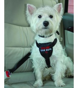 Clix - Car Safe dog seatbelt