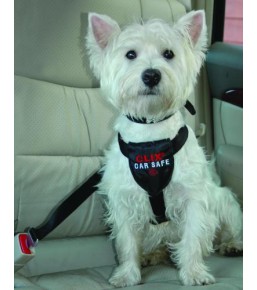 Clix Car Safe - Dog seatbelt