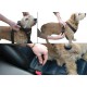 Clix - Car Safe dog seatbelt