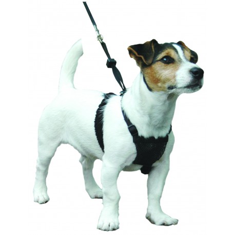 Sporn Please Com - Sporn Non-Pull Mesh Harnessâ„¢ - Training & Education for dogs - Lupi /  Direct-Vet