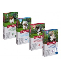 Advantix - Anti-tick and anti-flea pipettes for dogs