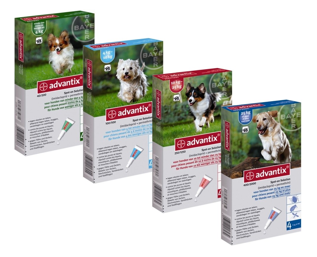 Advantix for dogs price sale