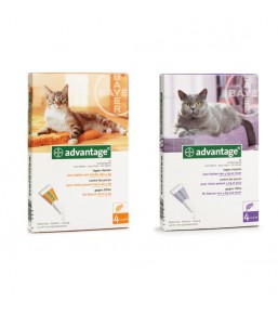 Advantage Cat - Anti-flea pipettes