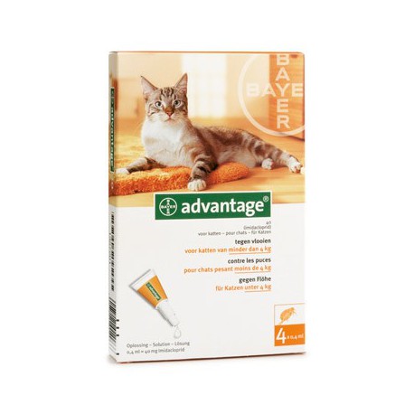 advantage flea medication