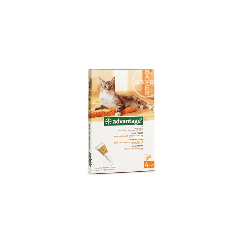 manipulere Glatte Bærecirkel Advantage™ - Anti-flea pipettes for cats - Bayer / Direct-Vet