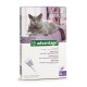 Advantage flea medication for cats