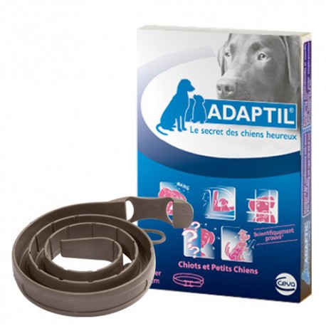 Adaptil collar