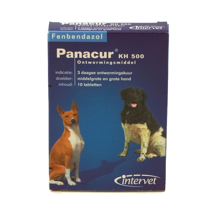 panacur 10 for puppies