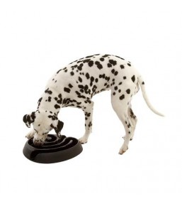 Buster DogMaze - Food maze dish for dogs