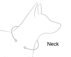 Collier Neo Classic EzyDog