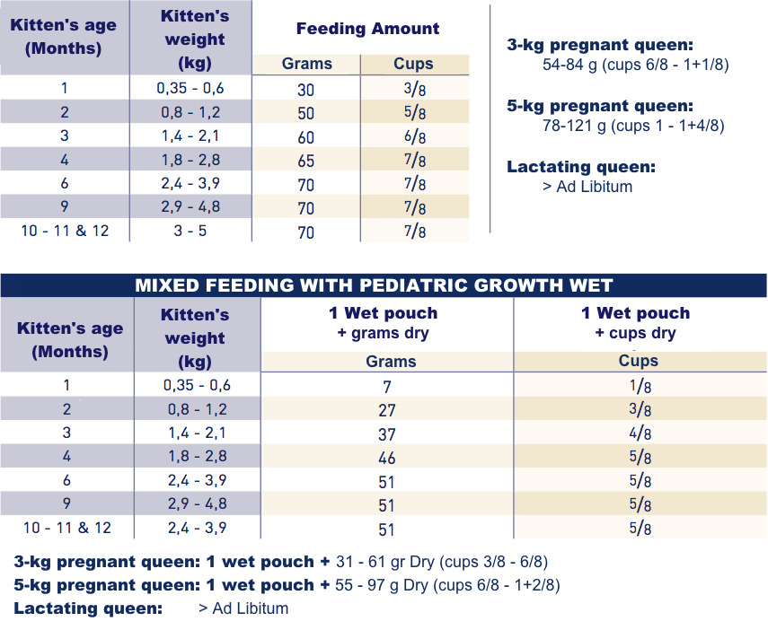 Royal Canin Pediatric Growth kibbles for kitten