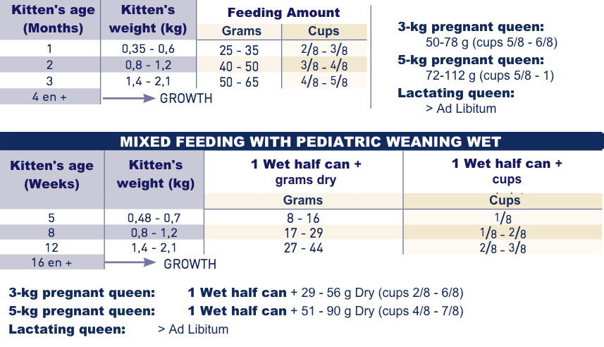 Royal Canin Pediatric Weaning Kibbles for Kitten